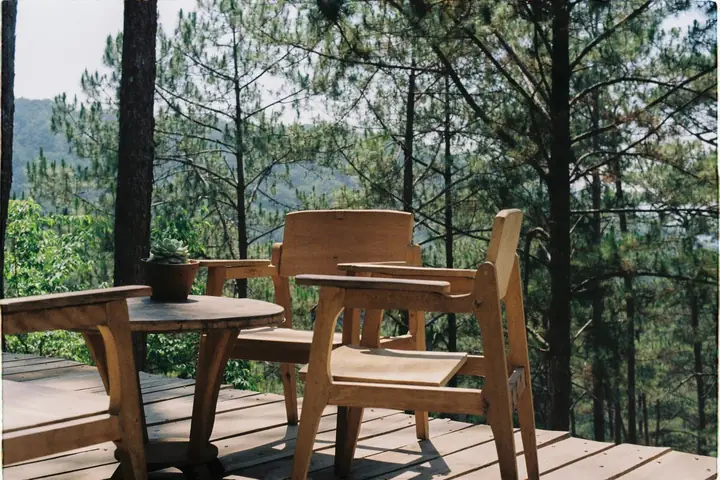 Wooden patio with chairs and table overlooking a lush forest