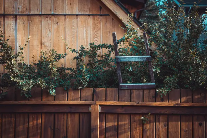 Wooden fence with a ladder and green plants, evoking rustic charm and natural beauty