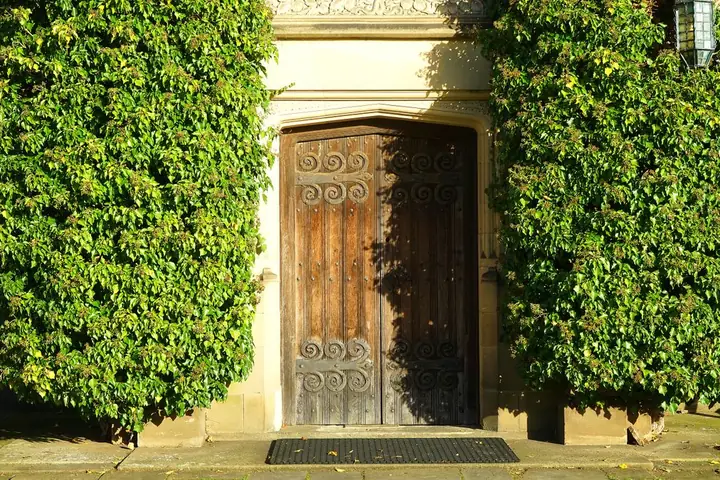 An ornate wooden door framed by ivy in a historic English garden setting